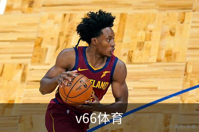 v66体育公司简介展示图